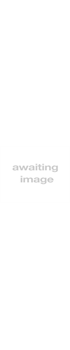 Rossignol Temptation 80 Womens' Ski