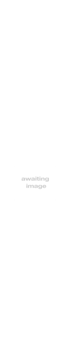 Fischer RC4 Race JR Ski