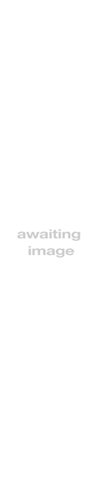 Rossignol Temptation 80 Womens' Ski